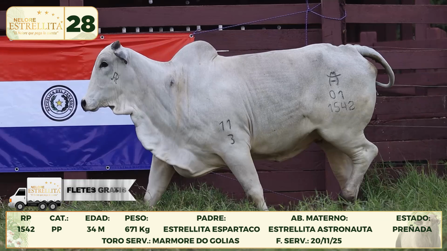 Lote LOTE 28