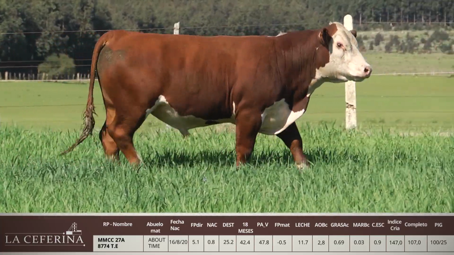 Lote MMCC 27A 8774 T.E.