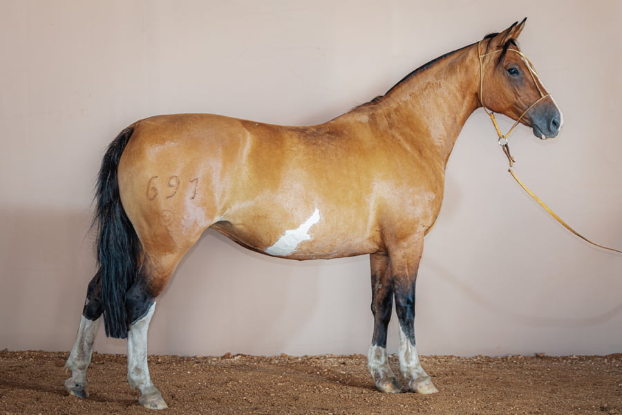 Lote Gatamancha Caraguata - Cabaña Don Luis