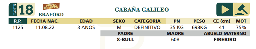 Lote LOTE 18