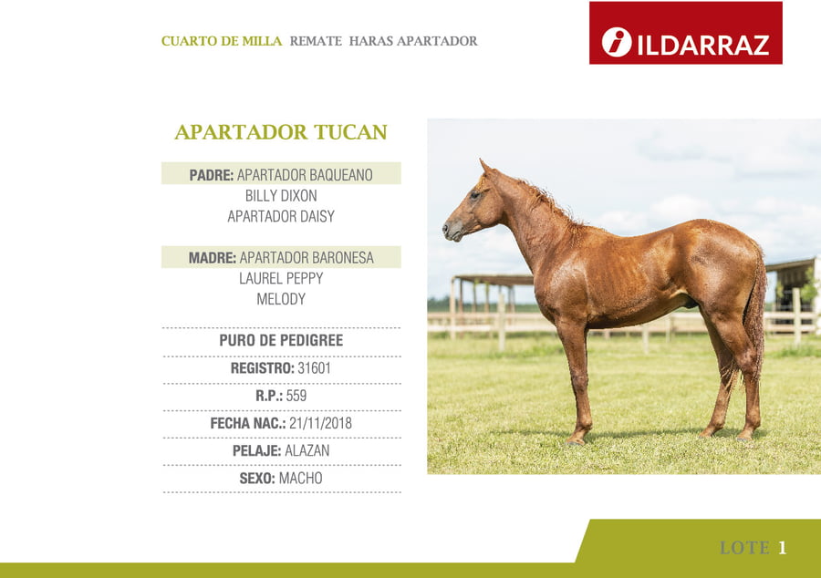 Lote APARTADOR TUCAN