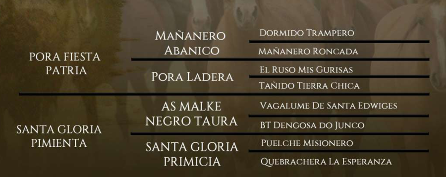 Lote Santa Gloria Fufurufa