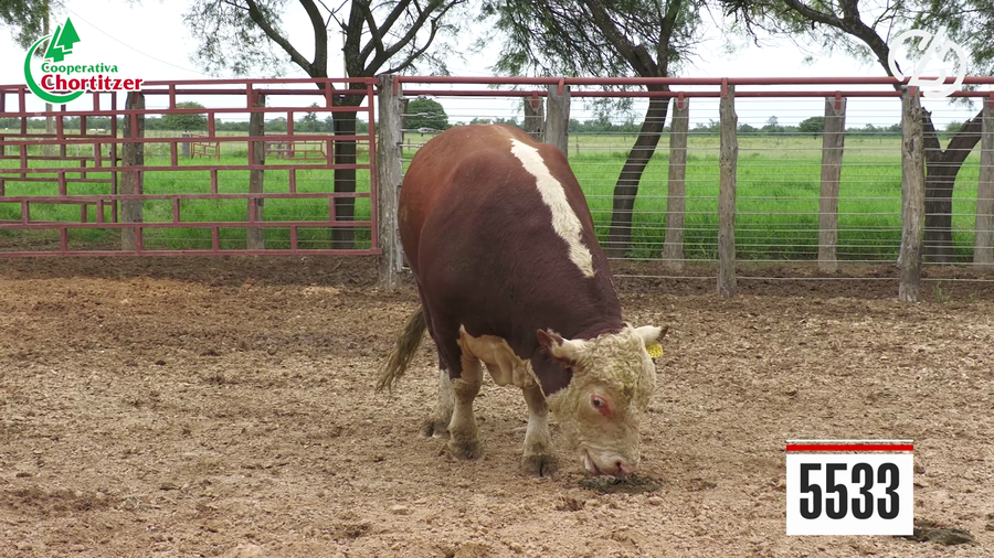 Lote Hereford