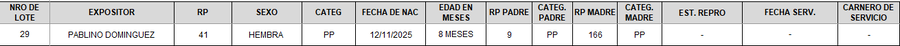 Lote LOTE 29 - CAMPO