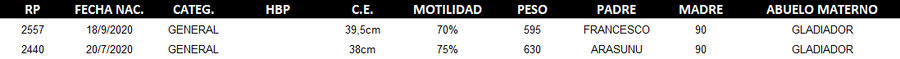 Lote LOTE 61 - DUO