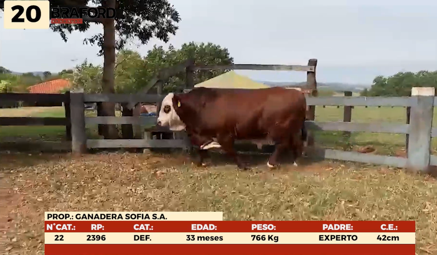 Imagen 1 del Lote Lote LOTE 20