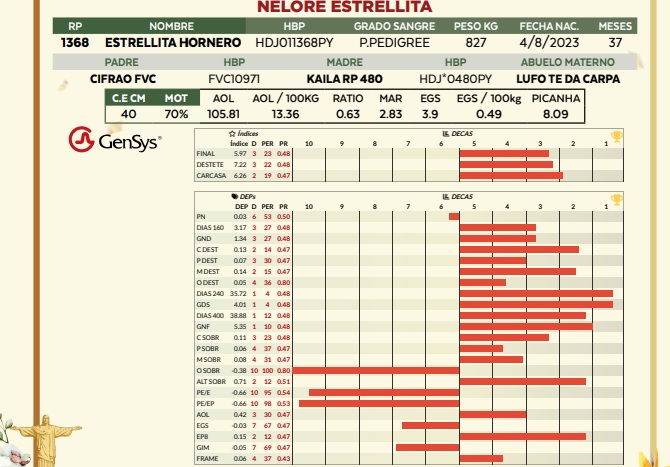 Lote LOTE 74