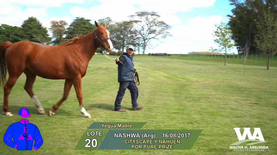 Lote NASHWA (Arg)
