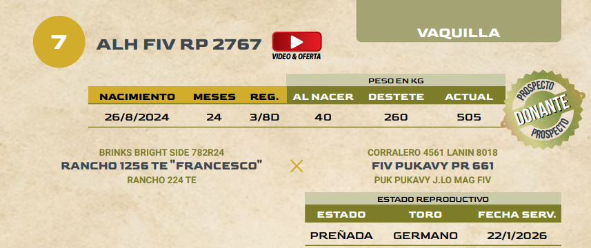 Lote LOTE 7