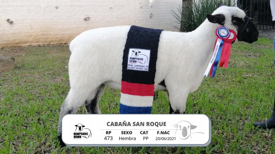 Lote LOTE 13 BOZAL - RP 473