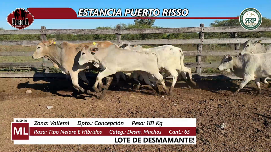 Lote ESTANCIA PUERTO RISSO