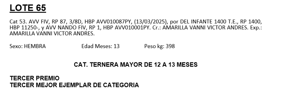 Lote LOTE 65