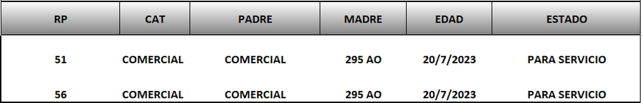 Lote LOTE 50