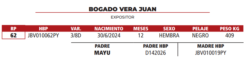 Lote LOTE 27