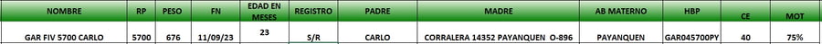 Lote LOTE 59
