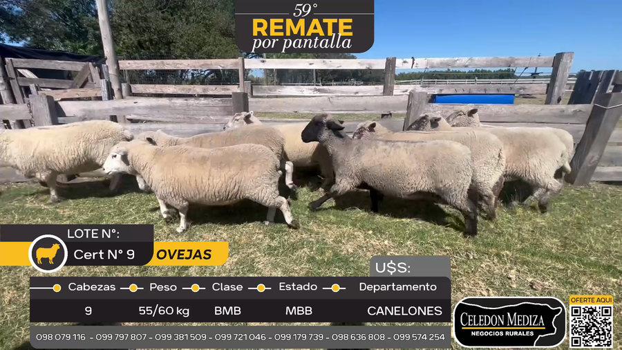 Lote 9 Ovejas en Otra Localidad, Colonia