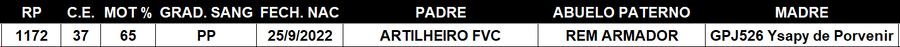 Lote LOTE 11