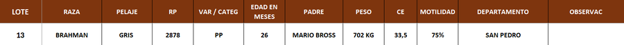 Lote LOTE 13