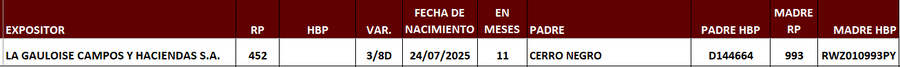 Lote LOTE 15