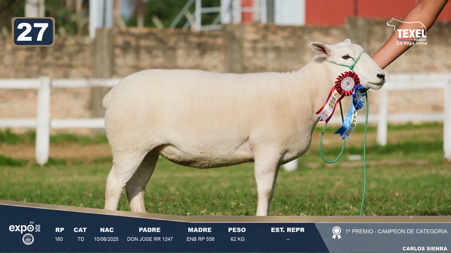 Lote LOTE 27