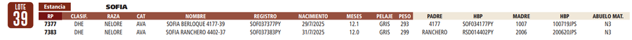 Lote LOTE 39