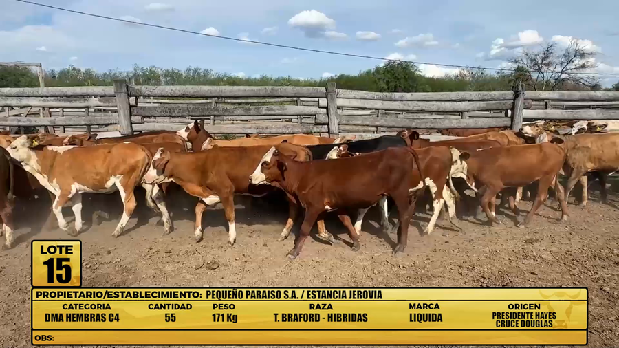 Lote LOTE 15