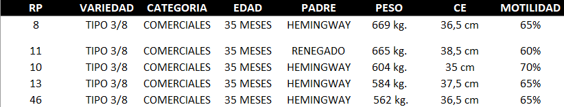 Lote PATRICIA GUIMARAES - LOTE  130