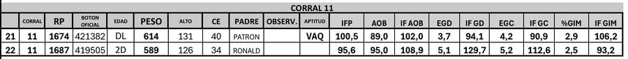 Lote 2 Toros PC