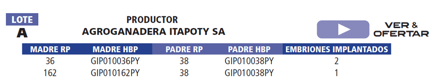 Lote LOTE A