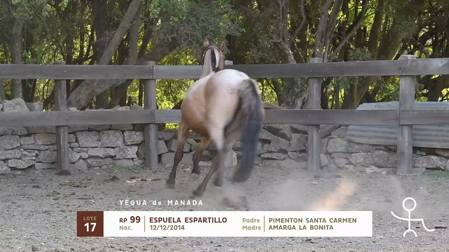 Lote ESPUELA ESPARTILLO