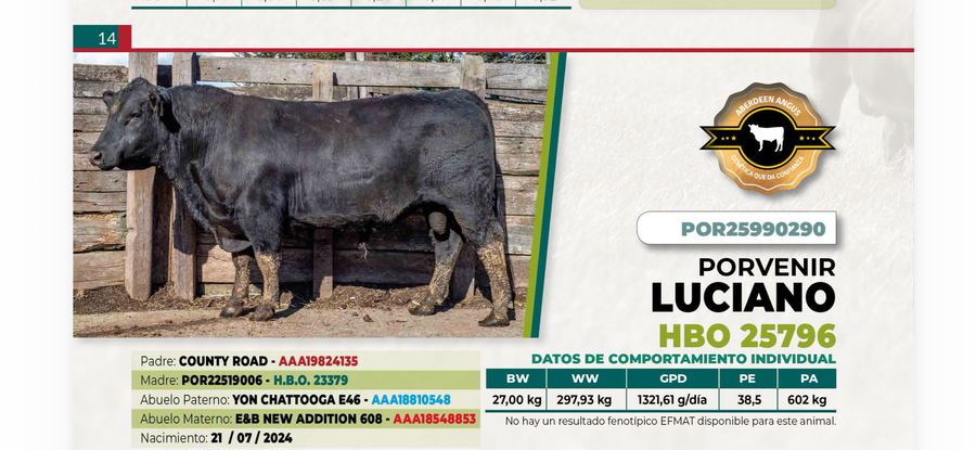 Lote 1 Toro LUCIANO DIIO 0290