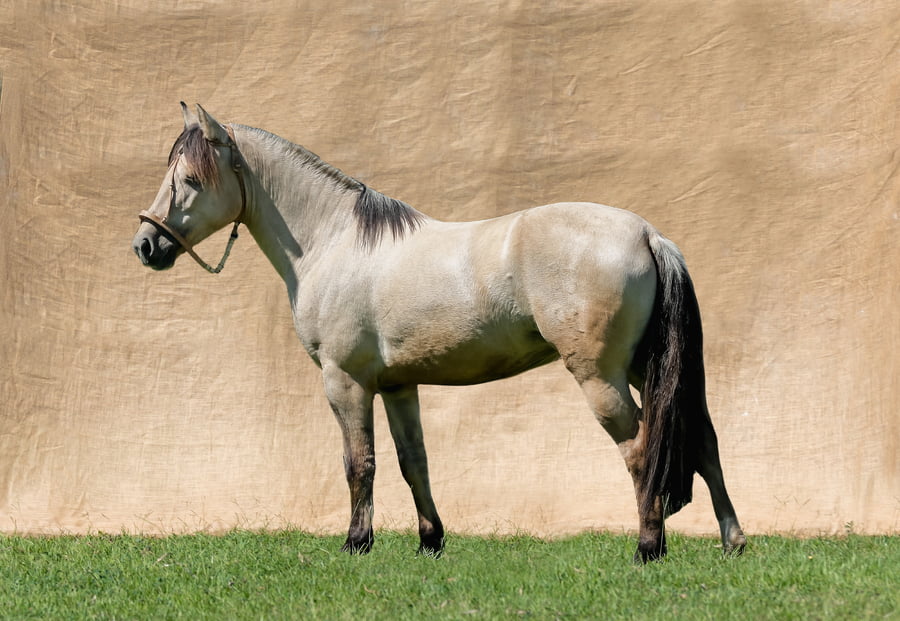 Lote AQUIDABAN ARQUITECTA RP 13