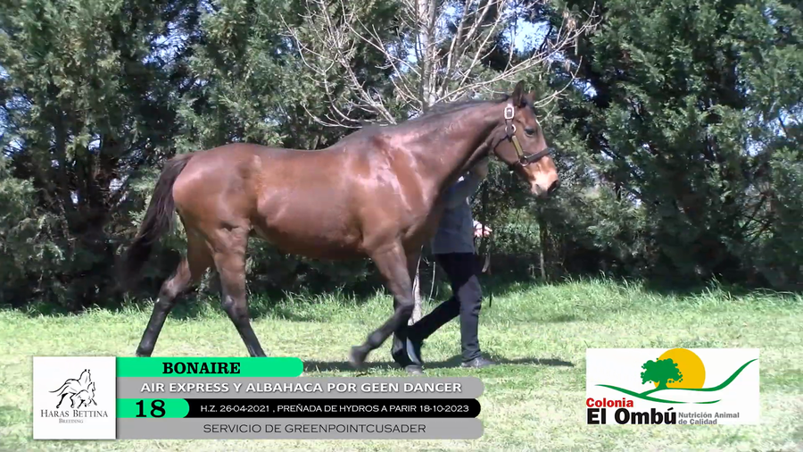 Lote BONAIRE