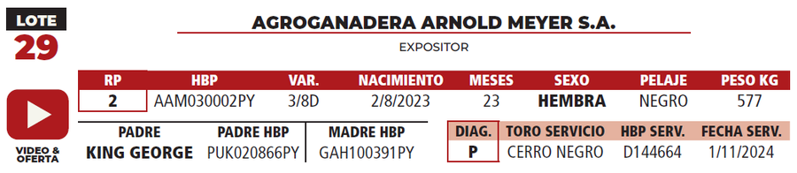 Lote LOTE 29