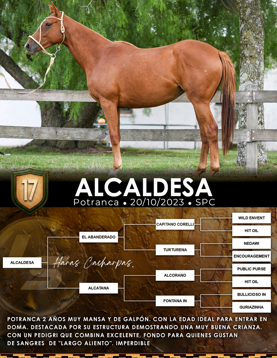 Lote ALCALDESA