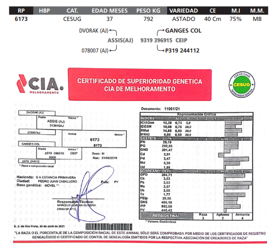 Lote LOTE 42