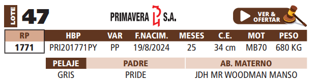 Lote LOTE 47