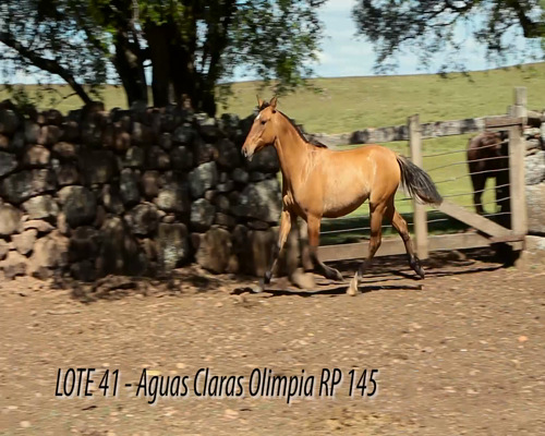 Lote AGUAS CLARAS OLIMPIA