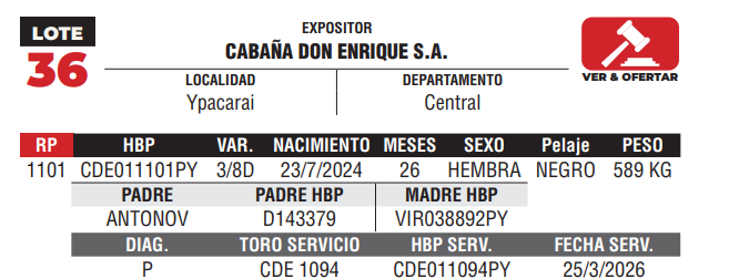 Lote LOTE 36 - DE CAMPO