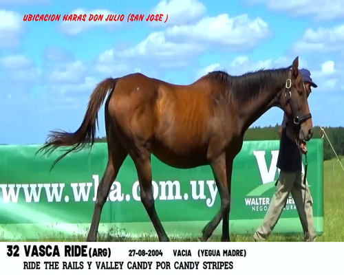 Lote VASCA RIDE (ARG)