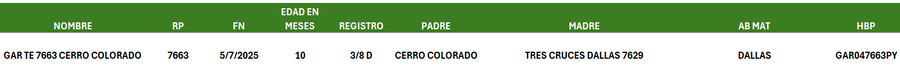 Lote LOTE 27