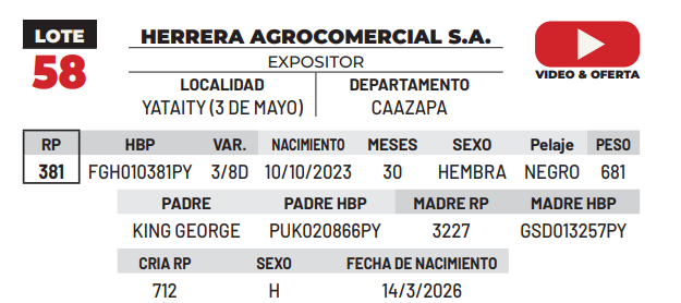Lote LOTE 58 -DE CAMPO