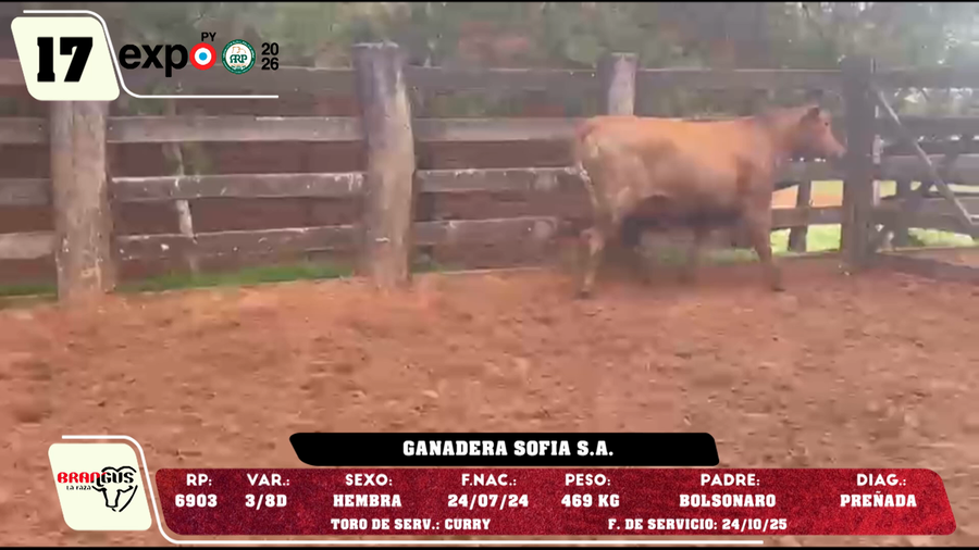 Lote LOTE 17