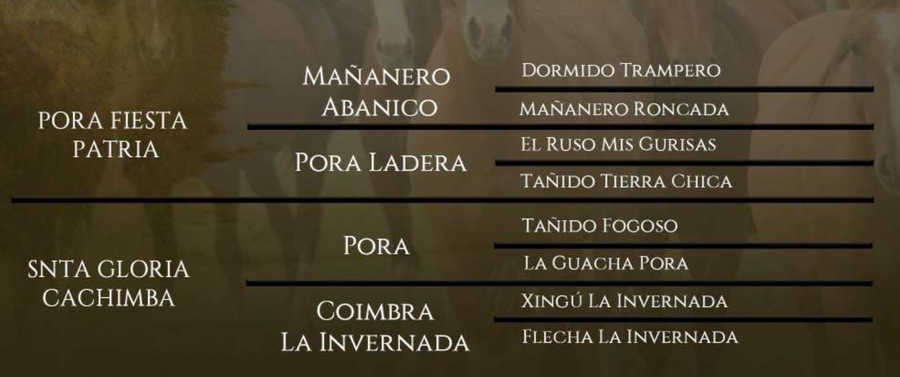 Lote Santa Gloria Grito Fuerte