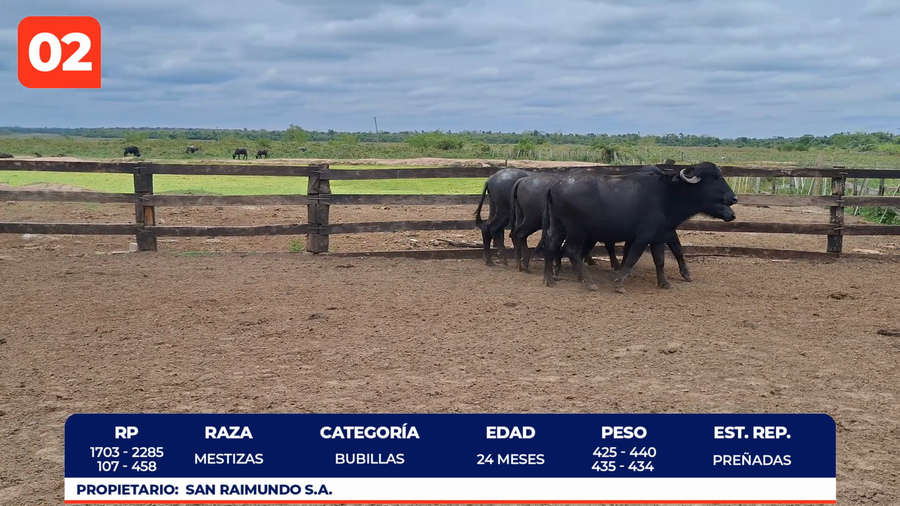 Lote LOTE 2