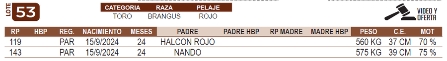 Lote LOTE 53