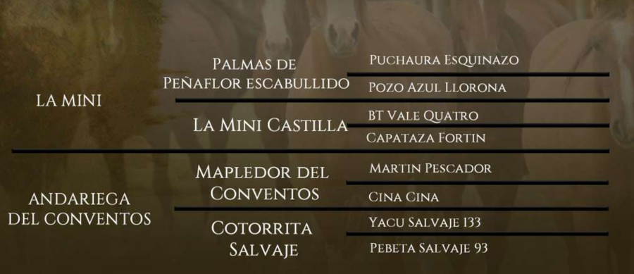 Lote Coloso del Conventos