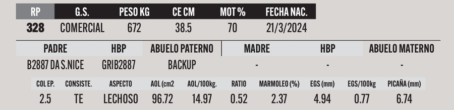 Lote LOTE 27