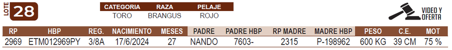 Lote LOTE 28