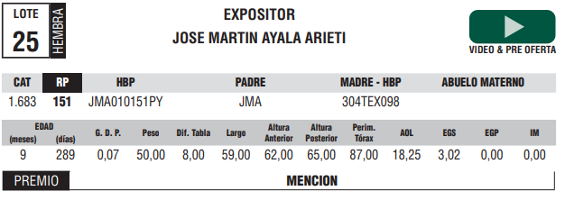 Lote LOTE 25